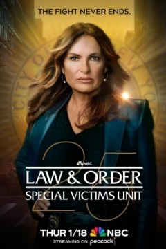 法律与秩序：特殊受害者第二十五季