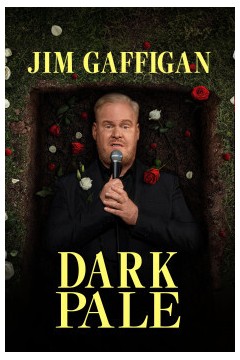 吉姆·加菲根：暗淡