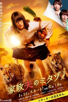 家政夫三田园第七季