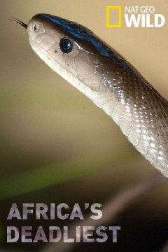 非洲致命动物第二季