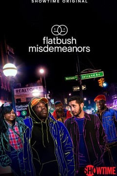 弗拉特布什轻罪第一季