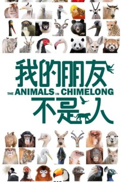 我的朋友不是人