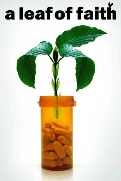 一片信仰之叶