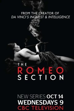 罗密欧间谍第一季