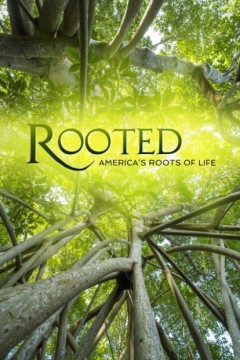 生命之树第二季