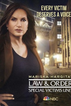 法律与秩序：特殊受害者第二十二季