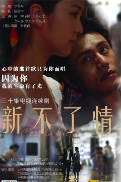 新不了情