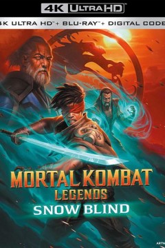 真人快打传奇：雪盲2022