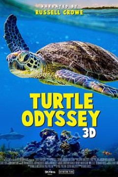 龟女士的奥德赛