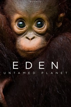 伊甸园：最后的秘境
