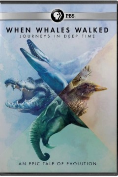 鲸鱼行走的时代：深时之旅
