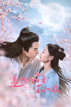 这个公主不一般