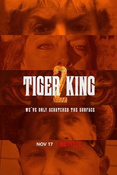 养虎为患第二季