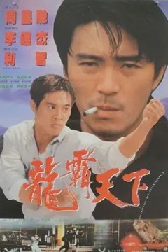 龙在天涯1989