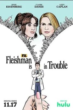 弗莱斯曼有麻烦了第一季