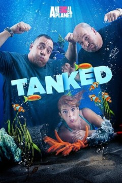 百变水族箱第二季