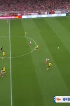 德甲联赛 柏林联合VS多特蒙德 20241005