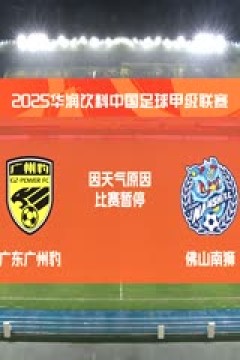 中甲联赛 广东广州豹VS佛山南狮 20250427