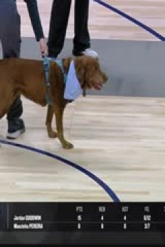 NBA常规赛 老鹰VS掘金 20240407