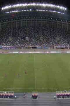 中甲联赛 石家庄功夫VS佛山南狮 20240512