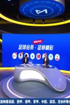 德甲联赛 多特蒙德VS法兰克福 20240825