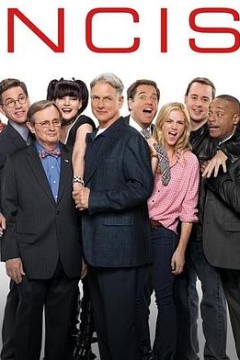 海军罪案调查处第十三季