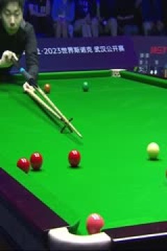 斯诺克阿里·卡特6-2吕昊天20231014(李照)