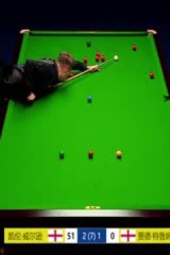 斯诺克凯伦·威尔逊3-4特鲁姆普20230805