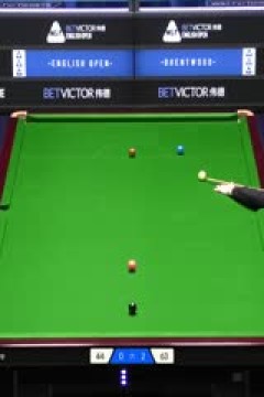 2025斯诺克英格兰公开赛斯蒂芬·马奎尔2-4亚伦·希尔20250917