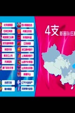 WCBA常规赛A组 东莞新彤盛VS江苏南钢 20241219