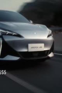 中超联赛 深圳新鹏城VS上海海港 20250630