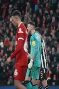 英超联赛 布伦特福德VS埃弗顿 20250227