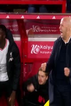 英超联赛 莱斯特城VS富勒姆 20250118