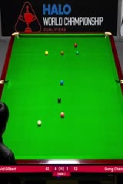 斯诺克世锦赛资格赛96进64及64进32大卫·吉尔伯特4-5巩晨智(第一阶段)20250413