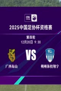 足协杯资格赛 广西布山VS朔州体校翔宇 20241220