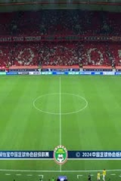 中超联赛 上海海港VS沧州雄狮 20240526