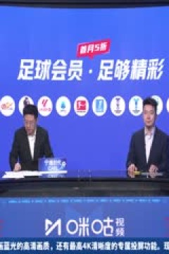 德甲联赛 多特蒙德VS弗赖堡 20241123