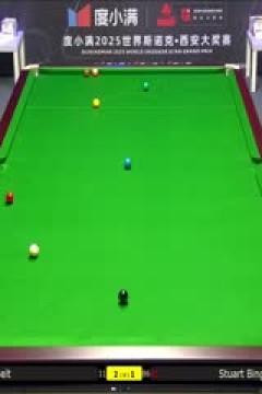 2025斯诺克西安大奖赛延期资格赛第一轮斯图尔特·宾汉姆5-3马修·塞尔特20251007