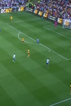 英超联赛 狼队VS布莱顿 20250510