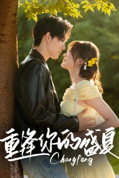 重逢你的盛夏