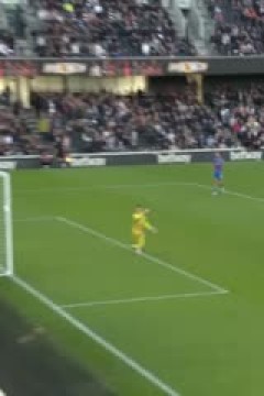 英超联赛 富勒姆VS水晶宫 20250222