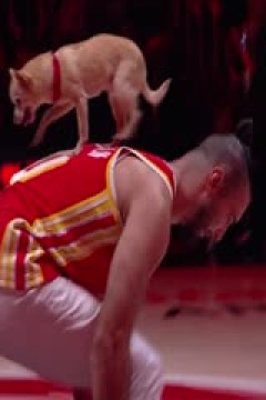 NBA常规赛 凯尔特人VS老鹰 20241105