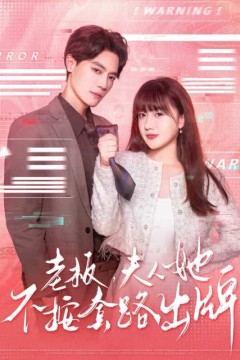 老板夫人她不按套路出牌