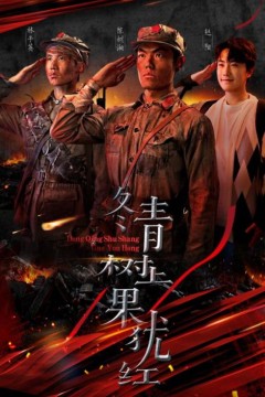 冬青树上果犹红