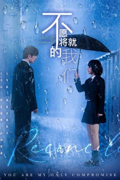 不愿将就的我们