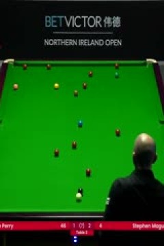 斯诺克乔·佩里3-4斯蒂芬·马奎尔20231026