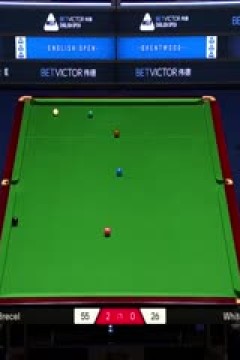 2025斯诺克英格兰公开赛卢卡·布雷切尔4-1吉米·怀特20250913