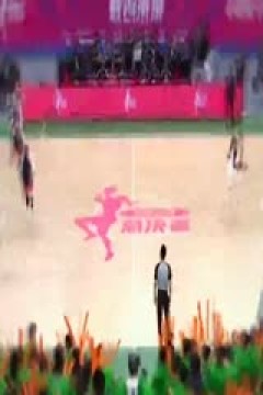 WCBA常规赛B组 黑龙江上东VS合肥文旅 20241118