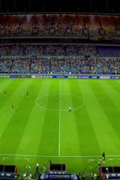 中超联赛 天津津门虎VS青岛西海岸 20240727