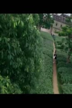 国际大体联足球世界杯  肯雅塔大学vs斯普利特大学 20231021